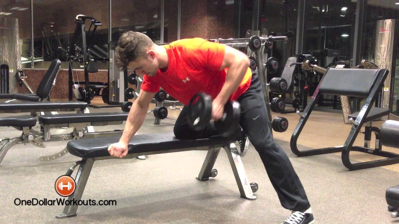 Bent Over Dumbbell Row Rotating - YouTube