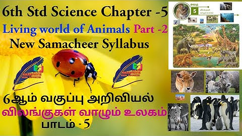6th std science/Chapter-5/Part-2/New Samacheer syllabus/Living world of animals