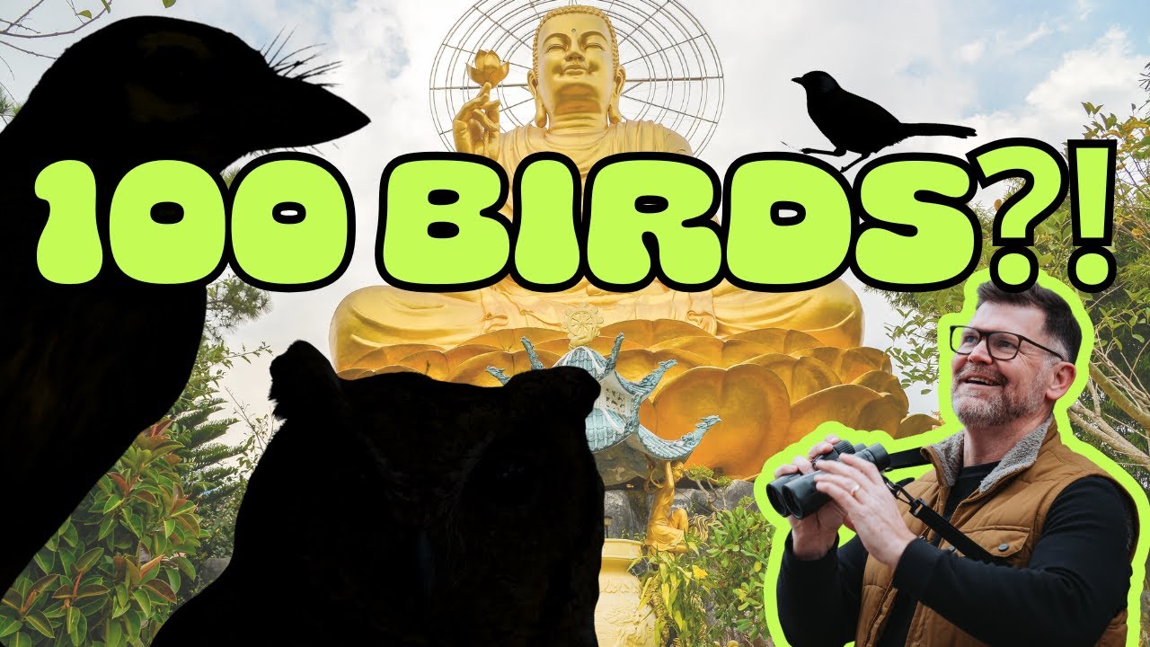 Birding Vietnam’s Highlands: Can We Spot 100 Species in DaLat?
