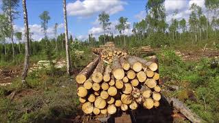 картинка: Аникинская УЖД