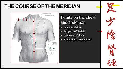 UJ online lectures:11 The Kidney Meridian of the F...