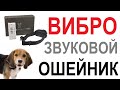 👍 ВИБРО ОШЕЙНИК  ДЛЯ ДРЕССИРОВКИ СОБАК 👍 // Кабанчик24