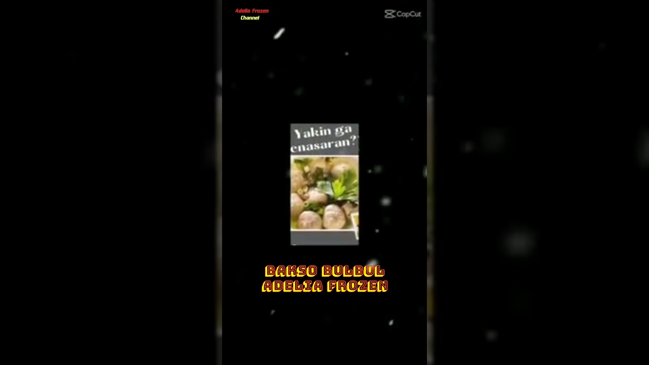 BAKSO BULBUL ADA DI ADELIA FROZEN - AGEN LAMPUNG 