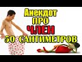 Анекдот про Большой Член. Прикольный анекдот.