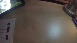 Howling Wolf Furry Speed Art
