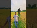 Dinosaur Attack Humans | He Fell Into Jurassic Fence | Epic Dinosaur Video #dinosaur #dinosaurvideo