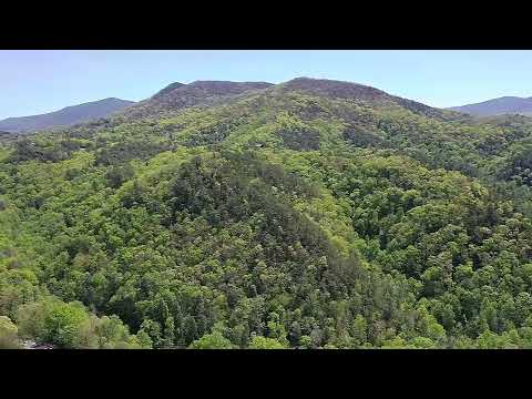 1015 Wears Valley Rd, Townsend, TN home video tour