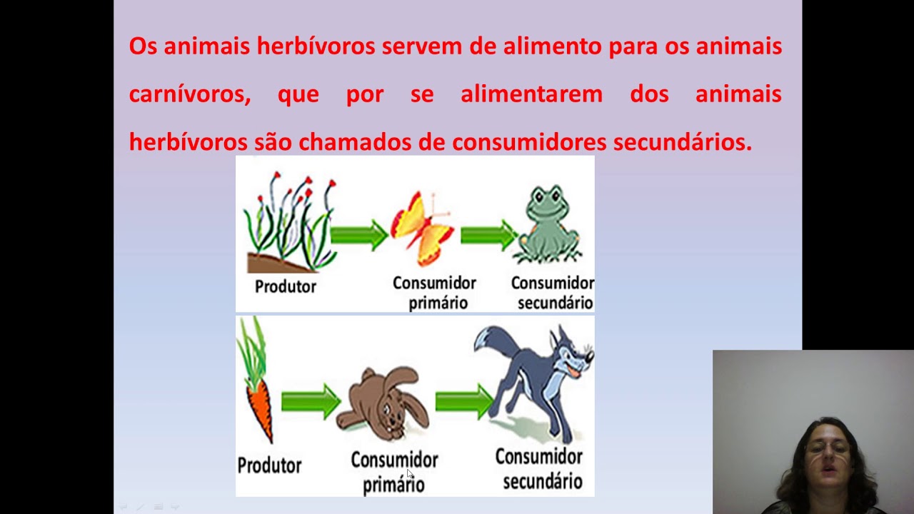 Na Cadeia Alimentar Ele Se Localiza No Primeiro Nível Trófico