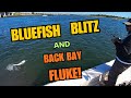 BLUE FISH BLITZ AND BACK BAY FLUKE
