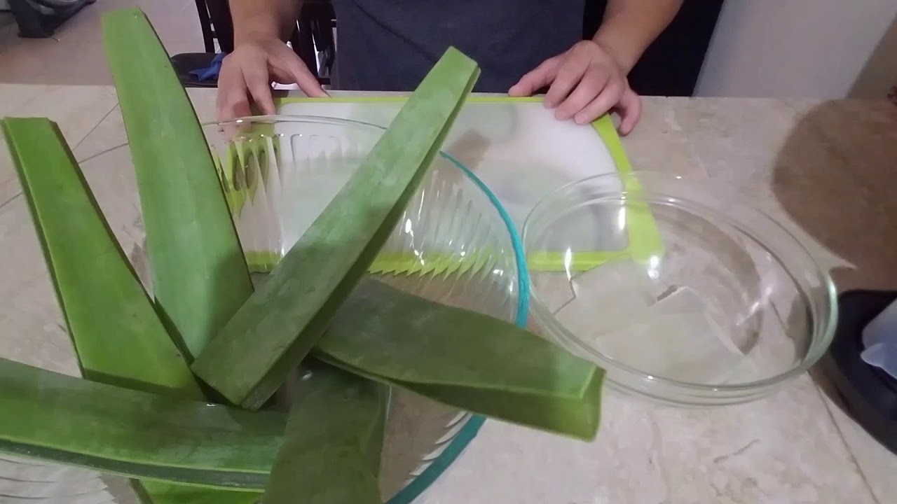 #41 Как удалить горечь из Алоэ Вера + как сохранить мякоть Алоэ Вера