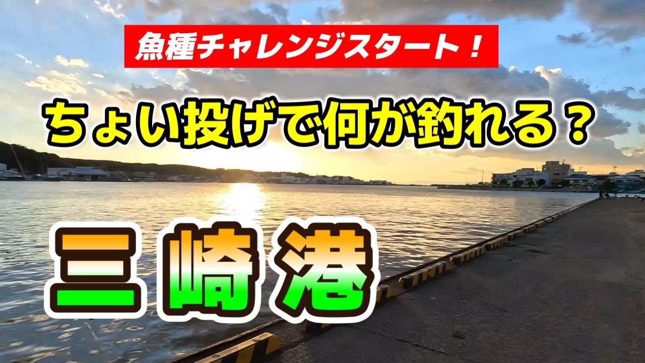 #007 三崎港でちょい投げ 【神奈川県】