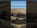 LETS EAT SOYBEAN DUST