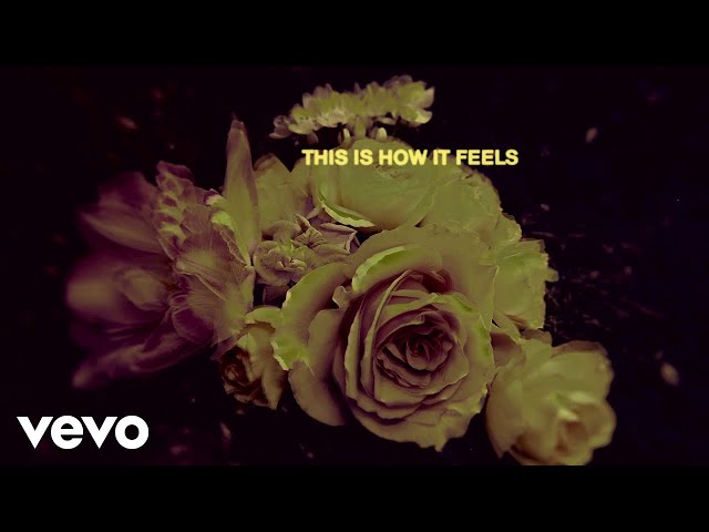 d4vd - This Is How It Feels (with Laufey) [Official Lyric Video] class=
