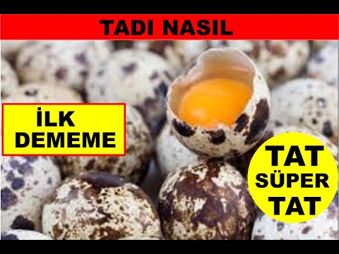 Video: Çiğ Bıldırcın Yumurtası Nasıl Yenir