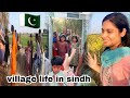 Village life in pakistan   mud house rural pakistan  saima pirzada vlog