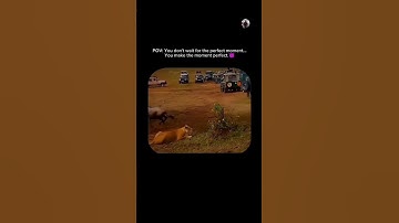 Stop Waiting for the Perfect Moment – Create It! 💪🔥#motivation