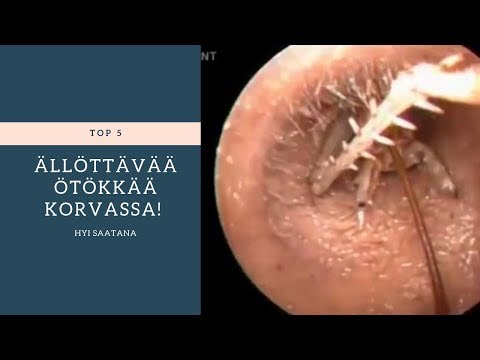 Video: Korvan Kärjen Loukkaantumiset Lemmikkeissä