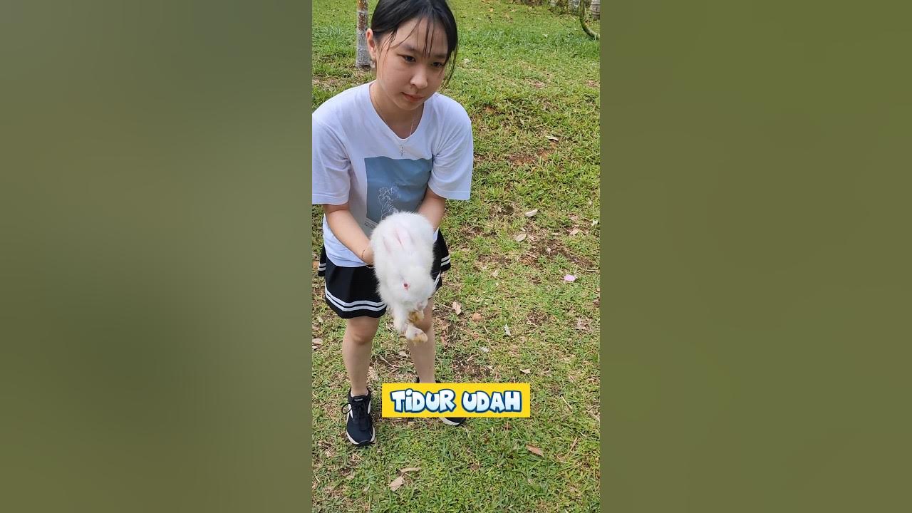 dela-kenapa-sih-pegang-kelinci-bisa-sampai-joget-gitu-lamin-etam
