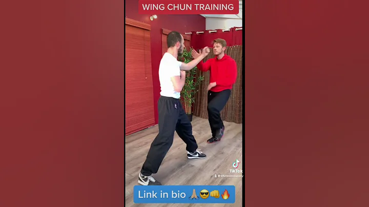 Wing Chun Training : kung fu fighting technique fo...