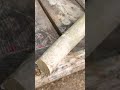 (9) 森で最悪なエリアを、最高の場所に開拓！　山小屋の組み立て開始！(灼熱の暑さと雨に打たれながら進める)
