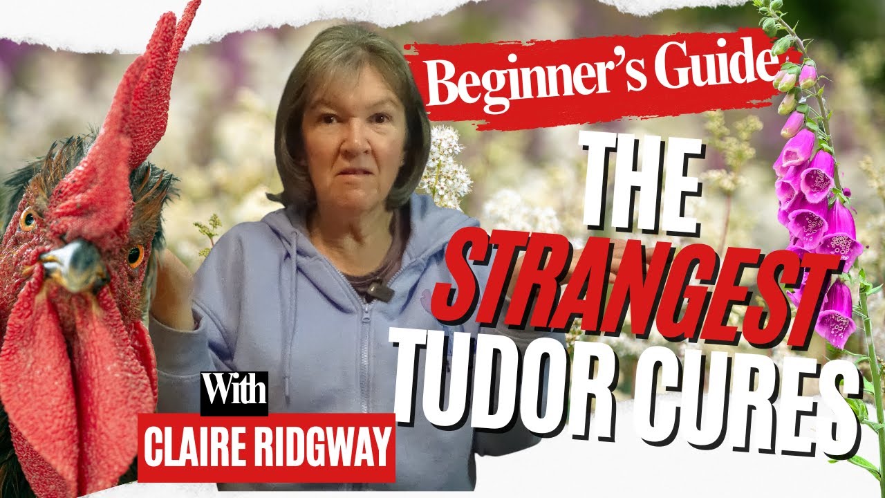 The Strangest Tudor Cures (And the Ones That Actually Worked) - A Beginner’s Guide to Tudor Medicine