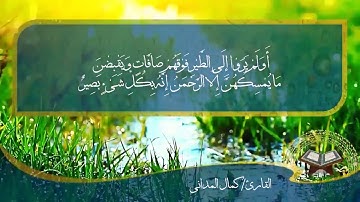 سورة الملك - الشيخ/ كمال المداني