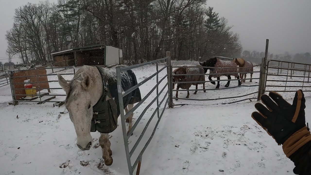 WE HAVE A SNOW STORM - YouTube