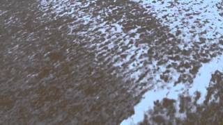 Ocean 2