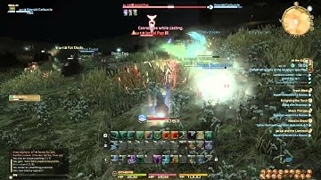 Final Fantasy XIV: Arcanist Levels 13-15, Cook 1-5 - 1 / 9