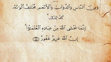 سورة فاطر بصوت عبد الهادي كناكري
