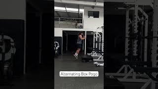 Alternating Box Pogo | PerformHQ