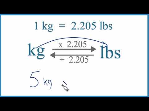 5Kg to Lb: the Exact Math Behind Fitness Plate Conversions and Weight Loss