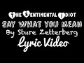 Say What You Mean by Sture Zetterberg Lyric Video TSI Songs from the Heart