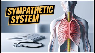 Alpha Beta The 90 Second Explanation