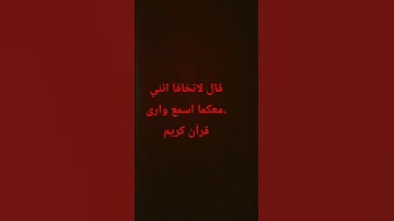 قرآن كريم 🏵️تلاوة خاشعة تريح الاعصاب رائعة #قرآن #اكسبلور #المصحف #راحة_نفسية #لايك
