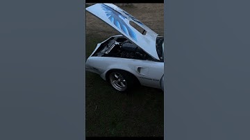 1978 Firebird trans am #firebird #car #cars