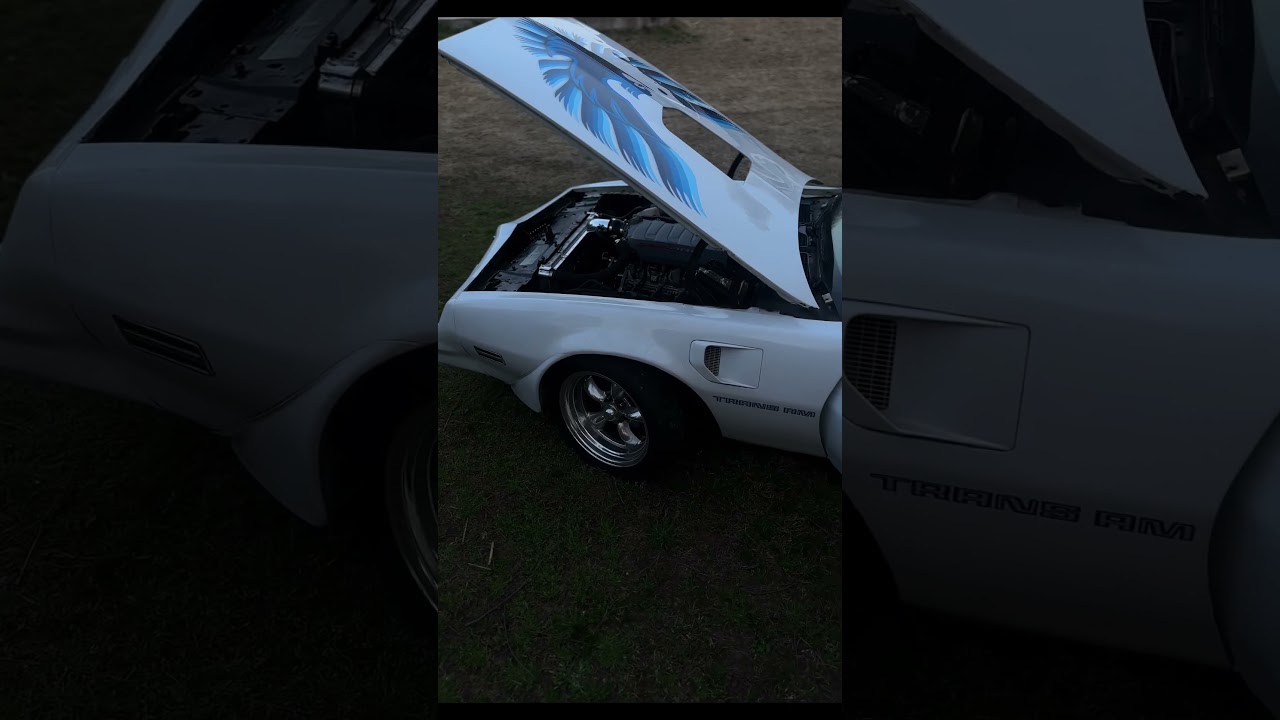 1978 Firebird trans am 