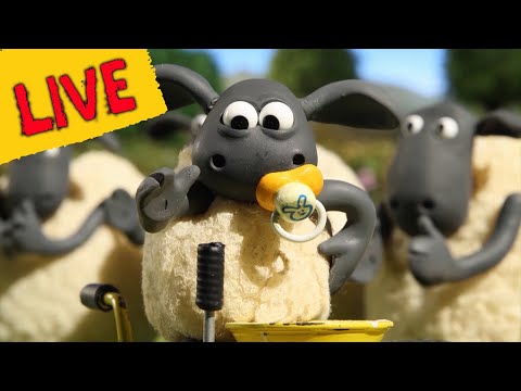 Shaun & Friends TV! Full Episodes - Cartoons for kids - Farm Animals 