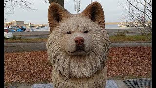 銅像になった「わさお」
