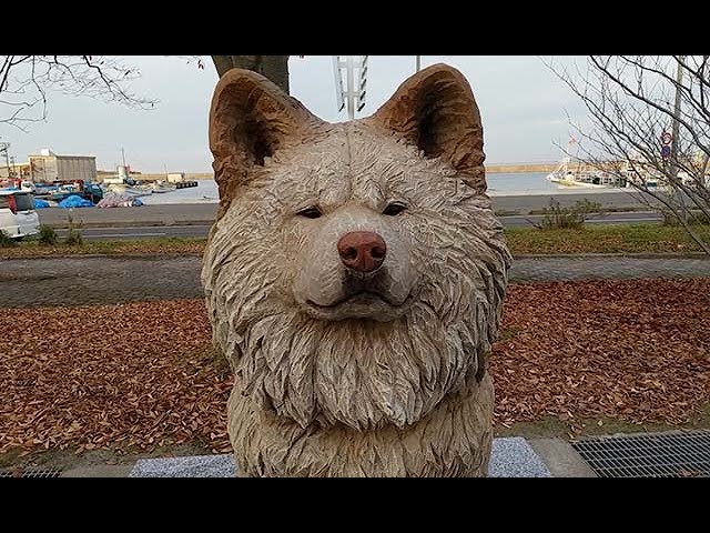 銅像になった「わさお」 - YouTube