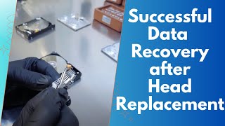 Recovering a Clicking WD20NMVW: Sarah’s Story with Payam in Australia