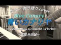 青いカナリヤ(昭和29年 雪村いづみ)カバー曲 ギター 弾き語り 女性 昭和の洋楽カバー曲