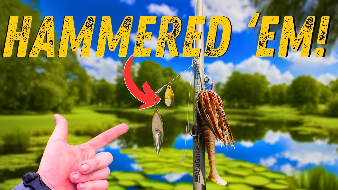 Crushing Golf Course Bass – Looking For Big Bass In Golf Course Ponds