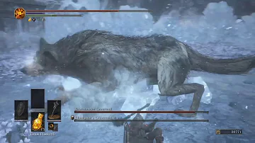 Dark Souls 3 Champion's Gravetender and Greatwolf Boss Fight