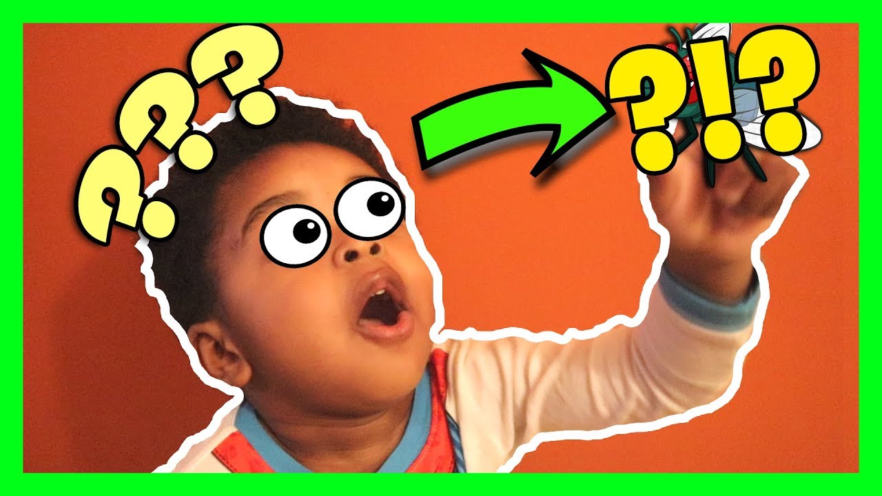 Learn How To Spell Words | Spelling Game | What's That Sound? - YouTube