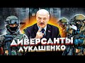 BYPOL раскрыл секреты ГРУ - Самая секретная служба Лукашенко