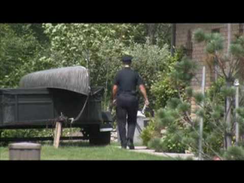 Man crushed cutting tree