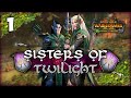 RISE OF THE WITCHWOOD! Total War: Warhammer 2 - Heralds of Ariel - Sisters of Twilight Campaign #1