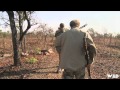 Hunt TV - Hartebeest and Reed Buck