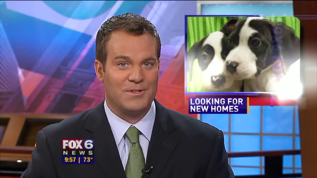 Mike Lowe Anchor YouTube